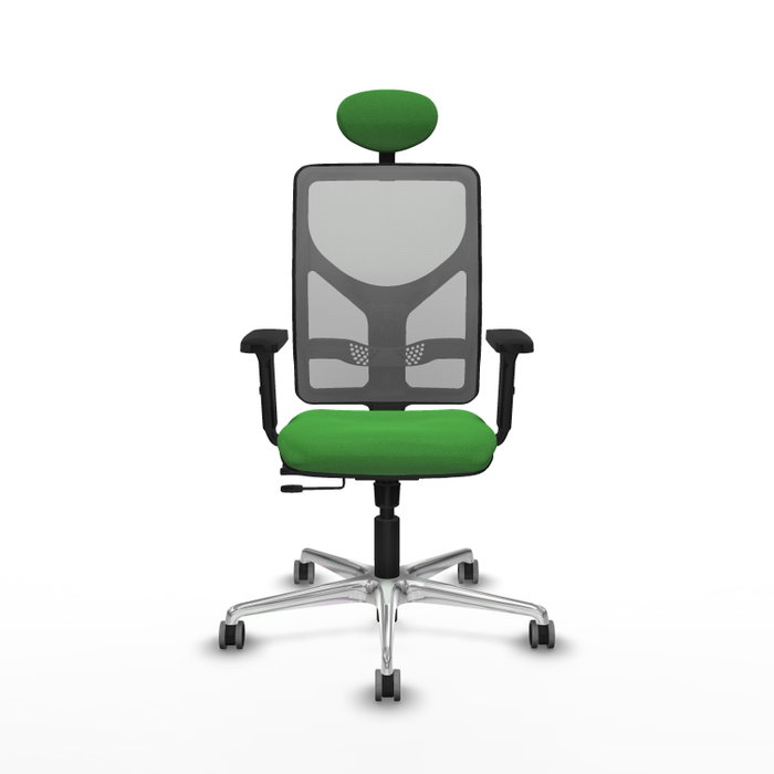 PIQUERAS Y CRESPO Silla de oficina Motilla con mecanismo Sincro/Traslack, Verde y Gris