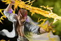 Yu Yu Hakusho Estatua ARTFXJ PVC 1/8 Kazuma Kuwabara Ver. 2 25 cm