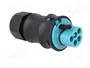 WIELAND Conector industrial redondo macho RST de 5 pines, 250V, azul turquesa