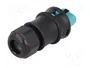 WIELAND Conector industrial redondo macho RST de 5 pines, 250V, azul turquesa