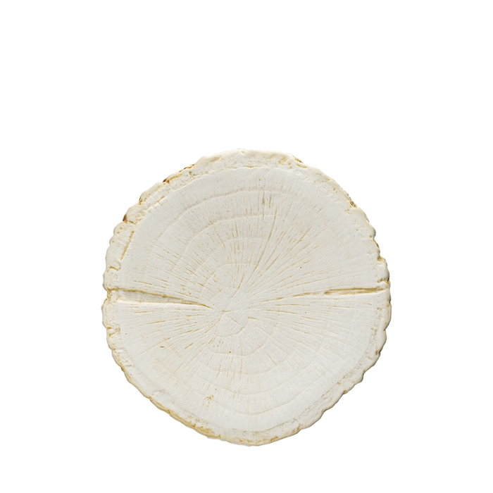Summa Premium Plato Llano Organ Tronco Crema 13x12cm