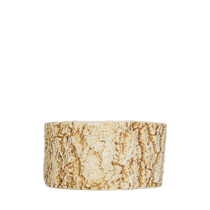 Summa Premium Plato Llano Organ Tronco Crema 13x12cm