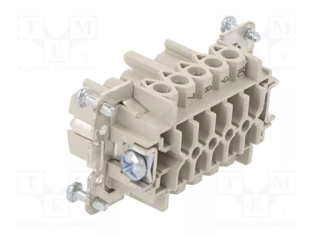 WIELAND Conector HDC Hembra Tamaño 10 para Panel