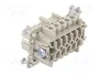 WIELAND Conector HDC Hembra Tamaño 10 para Panel