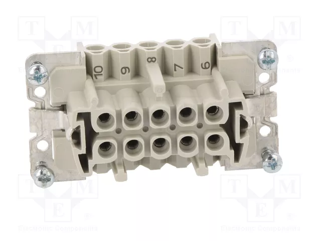 WIELAND Conector HDC Hembra Tamaño 10 para Panel