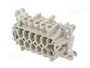 WIELAND Conector HDC Hembra Tamaño 10 para Panel