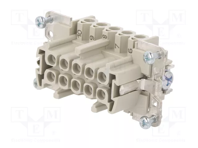 WIELAND Conector HDC Hembra Tamaño 10 para Panel