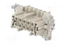 WIELAND Conector HDC Hembra Tamaño 10 para Panel