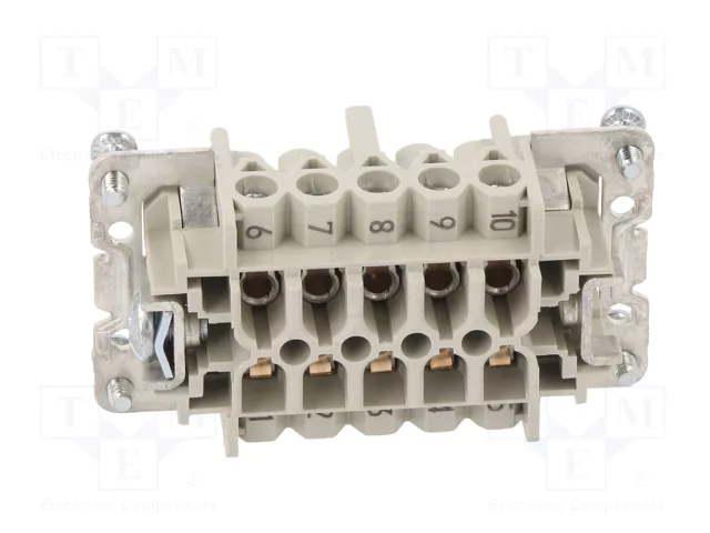 WIELAND Conector HDC Hembra Tamaño 10 para Panel