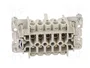 WIELAND Conector HDC Hembra Tamaño 10 para Panel