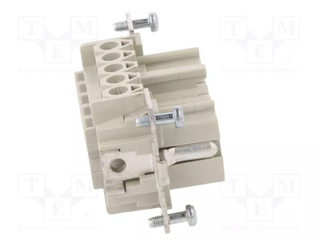 WIELAND Conector HDC Hembra Tamaño 10 para Panel