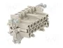 WIELAND Conector HDC Hembra Tamaño 10 para Panel