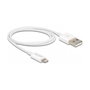 DeLOCK Cable USB de datos y carga para iPhone, iPad e iPod, 1 m, Blanco