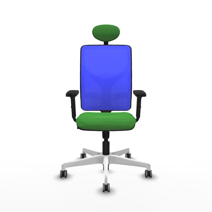 PIQUERAS Y CRESPO Silla de oficina Motilla con mecanismo Sincro, Verde y Azul