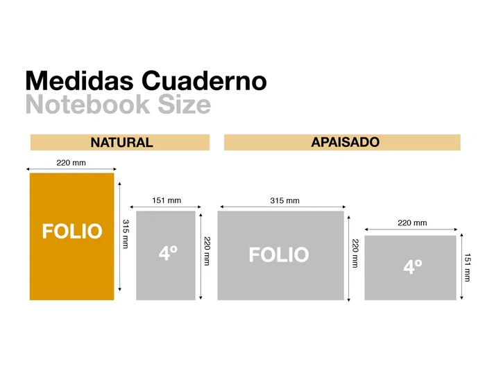 MIQUELRIUS Libro de Contabilidad Horizontal 100 Hojas Folio Natural