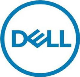 Dell Disco Duro SSD Interno para Servidor - 480 GB, SATA III 6 Gb/s, 2.5", Formato Avanzado 512e, Read Intensive, Incluye Adaptador de Bahía