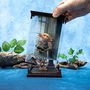 The Noble Collection Estatua de Dobby Magical Creatures Harry Potter