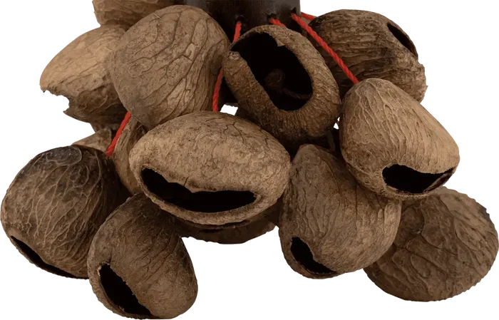 PEARL Shaker Asa Pearl PEARL Shaker Asa Pearl