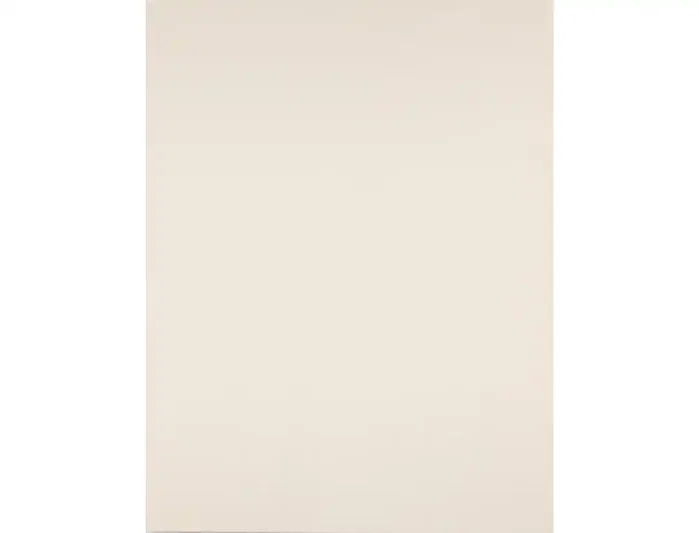 Liderpapel Cartulina Crema 50x65 cm 180g/m2 (25 hojas)