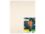 Liderpapel Cartulina Crema 50x65 cm 180g/m2 (25 hojas)