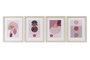 DKD Home Decor Cuadro Abstracto Enmarcado Surtido de 4 Unidades Beige