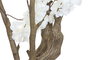 DKD Home Decor Árbol de Almendro Blanco 80x80x215 cm