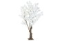 DKD Home Decor Árbol de Almendro Blanco 80x80x215 cm