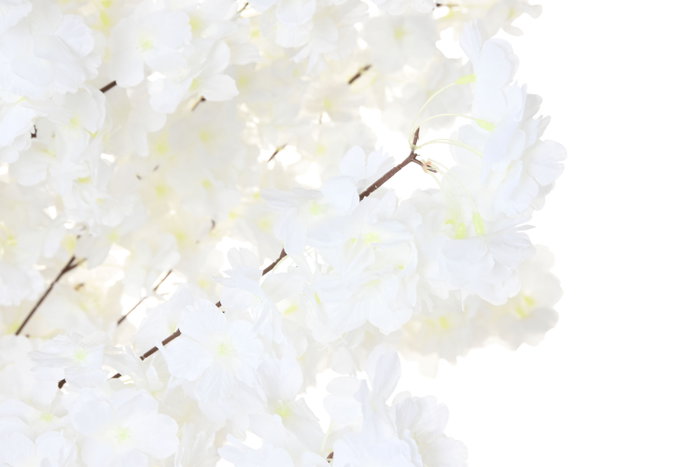 DKD Home Decor Árbol de Almendro Blanco 80x80x215 cm