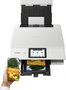 Canon PIXMA TS8751 Blanco