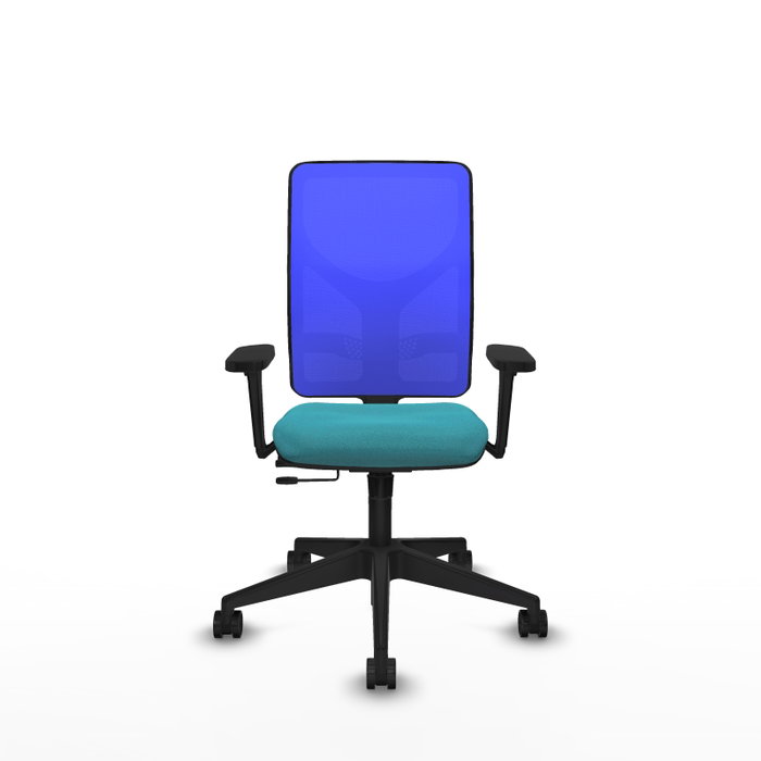 PIQUERAS Y CRESPO Silla de oficina Motilla con mecanismo Sincro/Traslack, Azul y Turquesa PIQUERAS Y CRESPO Silla de oficina Motilla con mecanismo Sincro/Traslack, Azul y Turquesa