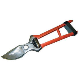 Riegolux Tijera de Poda 1 Mano 19 cm Blister