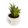 Atmosphera Mini maceta con imán para suculenta, 6 cm, modelos variados