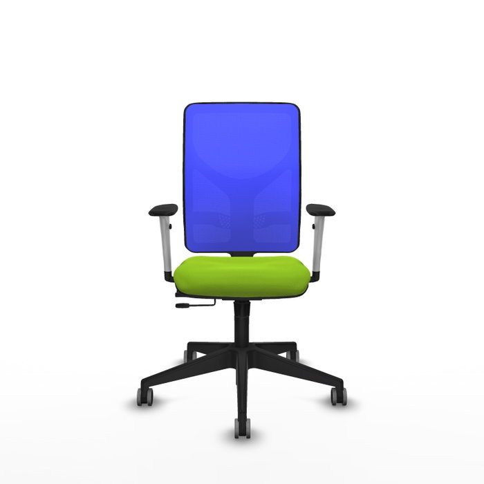 PIQUERAS Y CRESPO Silla de oficina Motilla con mecanismo Sincro/Traslack, Pistacho y Azul