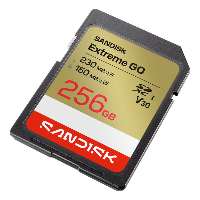 SanDisk Extreme GO 256 GB SDXC UHS-I SanDisk Extreme GO 256 GB SDXC UHS-I