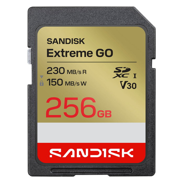 SanDisk Extreme GO 256 GB SDXC UHS-I SanDisk Extreme GO 256 GB SDXC UHS-I