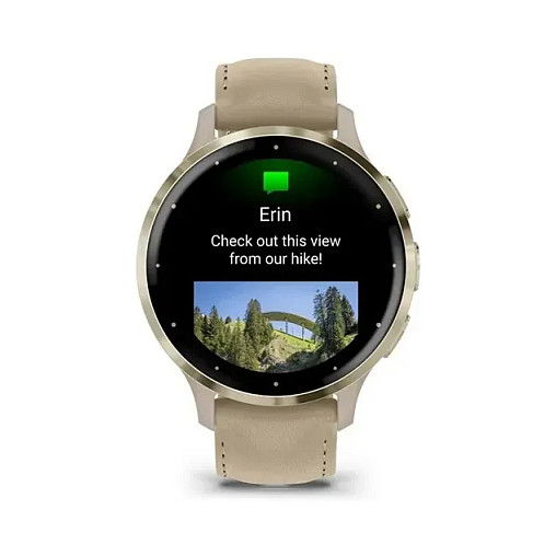 Garmin 010-02785-55 Venu 3S 41mm french gray soft gold