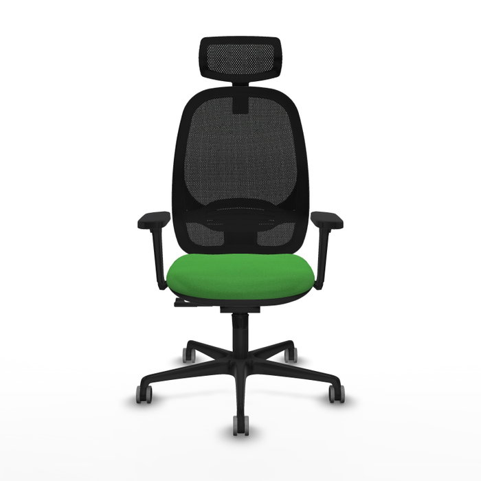 PIQUERAS Y CRESPO Silla de oficina Cilanco con Mecanismo Sincro Verde y Negro