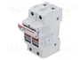 DF ELECTRIC Portafusibles PMX de 2 polos, 25A, 8x32mm para raíl DIN