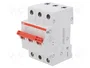 ABB SHD203/32 Interruptor de aislamiento 3 polos 32A 415VAC