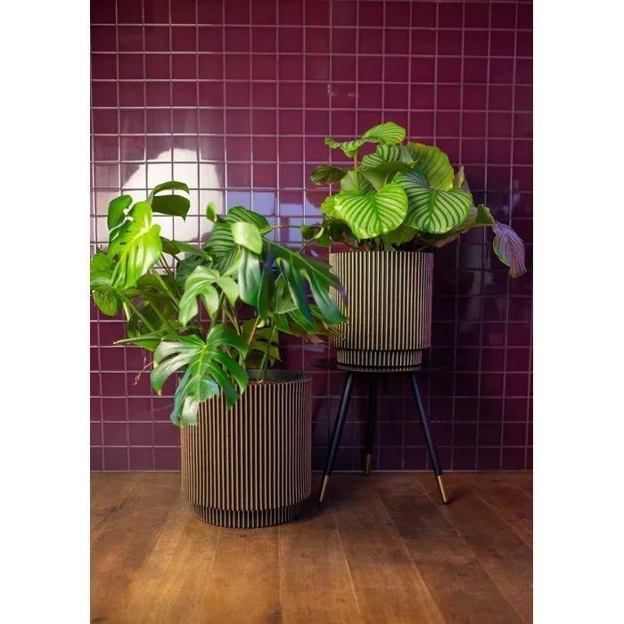 Capi Europe Jarrón cilíndrico Groove NL 44 x 46 cm Negro y dorado KGVGB883