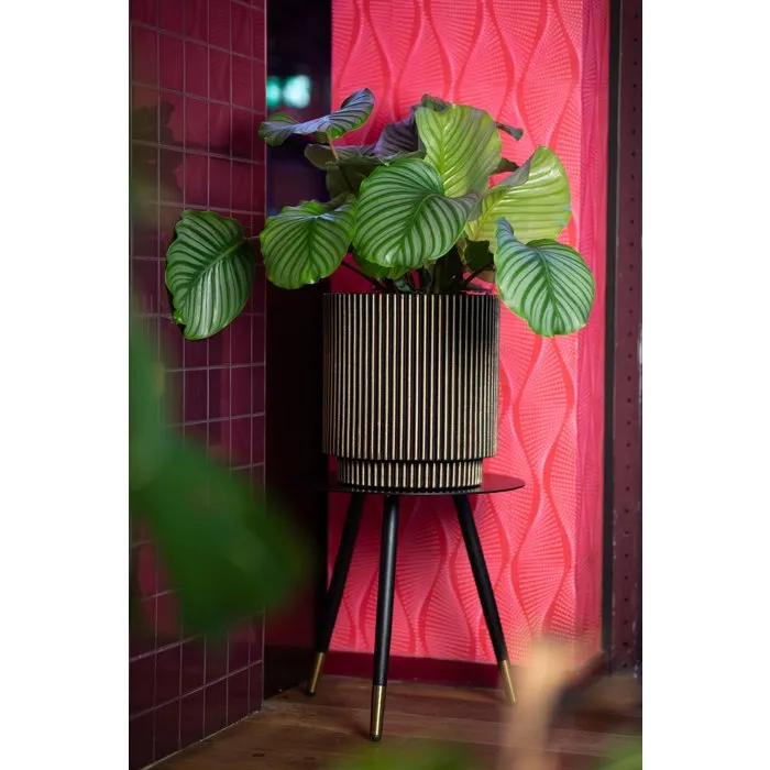 Capi Europe Jarrón cilíndrico Groove NL 44 x 46 cm Negro y dorado KGVGB883