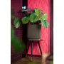 Capi Europe Jarrón cilíndrico Groove NL 44 x 46 cm Negro y dorado KGVGB883