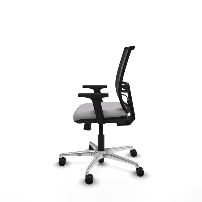 PIQUERAS Y CRESPO Silla de oficina Yunquera con mecanismo Sincro/Traslack, Gris claro y Negro PIQUERAS Y CRESPO Silla de oficina Yunquera con mecanismo Sincro/Traslack, Gris claro y Negro
