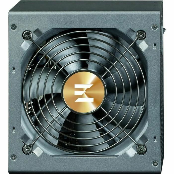ZALMAN TeramaxII SE 1000 W 80 PLUS Gold ATX Negro