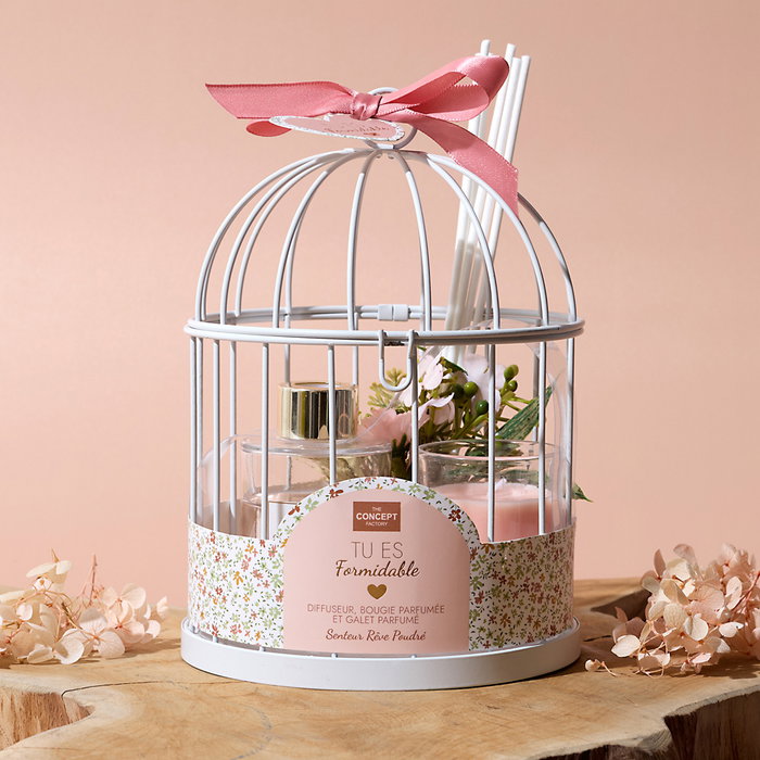 Home Deco Factory Juego Difusor, Vela y Jaula Aroma Rêve Poudre - Colección Pour Elle, Cera 40g, Duración 8h