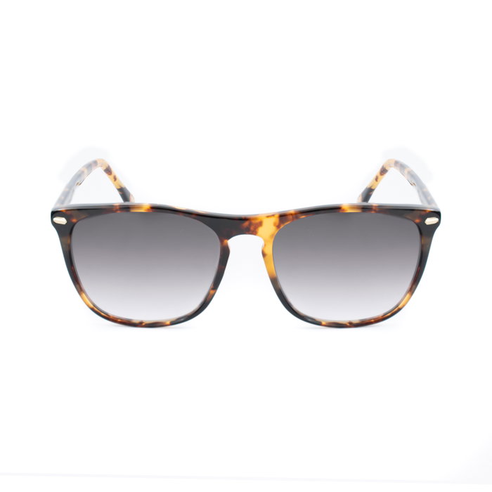 Belstaff MERIDIAN-II-S168 Gafas de sol para mujer en marrón
