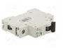 Promfactor Baltic Interruptor magnetotérmico ECO 1A 1 polo Curva C