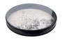 PEARL Ocean Drum 16x2,5 pulgadas