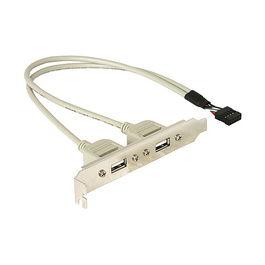 DeLOCK Slotblech USB 2.0 - Placa frontal con 2 puertos USB