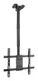 Tooq Soporte de Techo para Pantallas 32-75 Pulgadas Negro